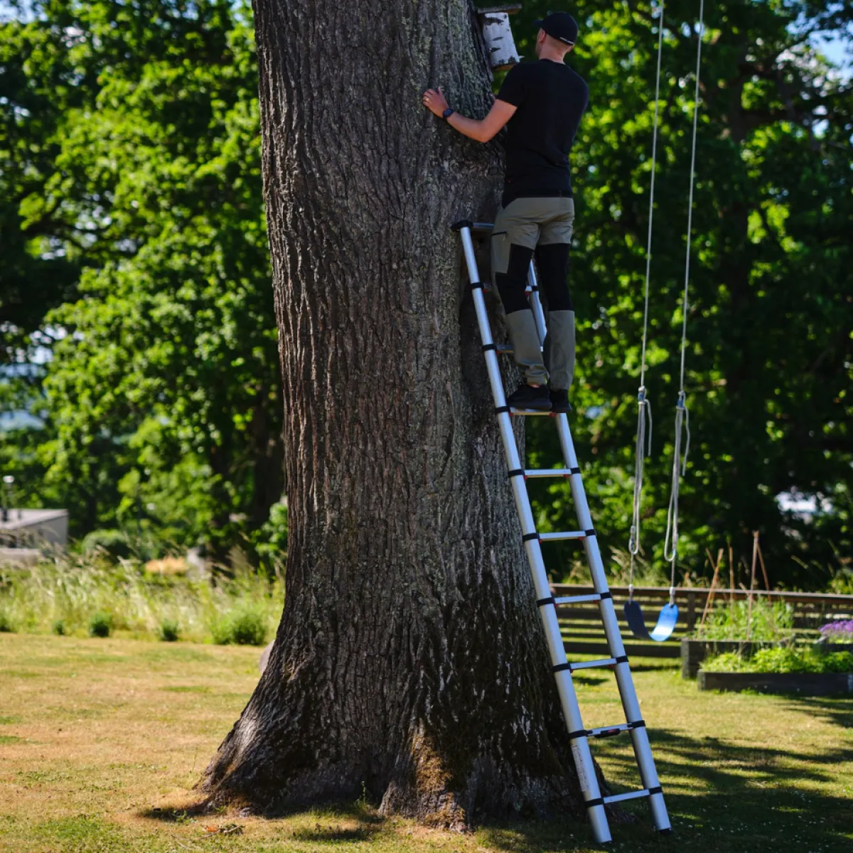 Teleskopstege Eco Line 3,0 m<Telesteps Discount